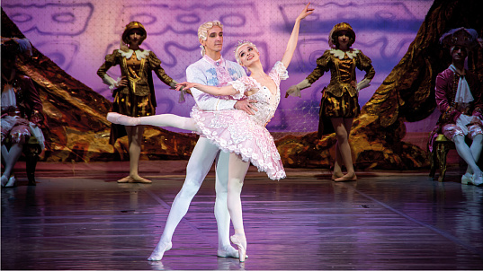 Мероприятие "Спящая красавица"